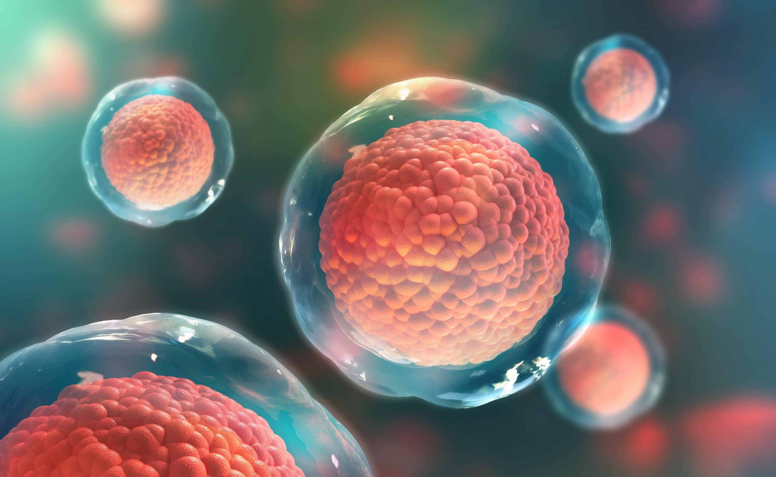 A CGI closeup of a human cell dividing.
