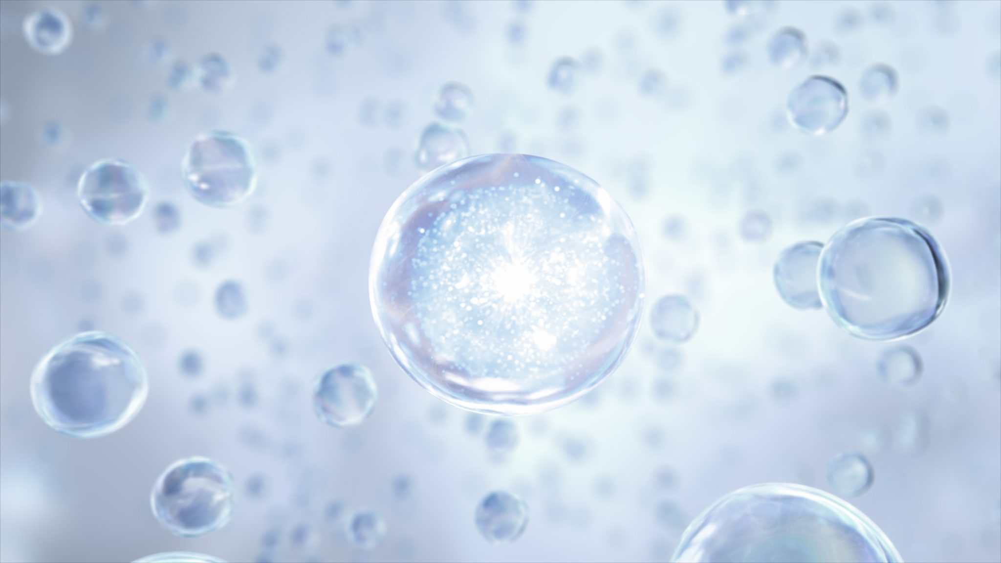 Egg Donor Recipients IVF with Donor Eggs