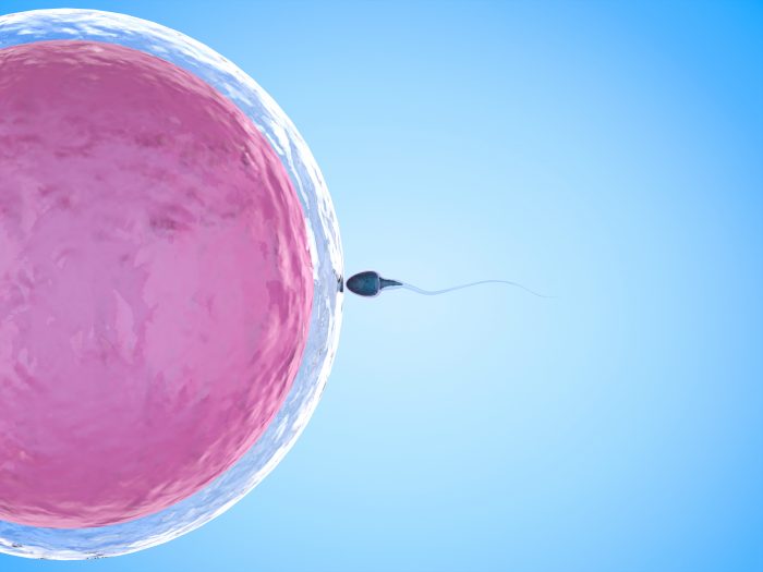 CGI closeup of sperm fertilising egg.
