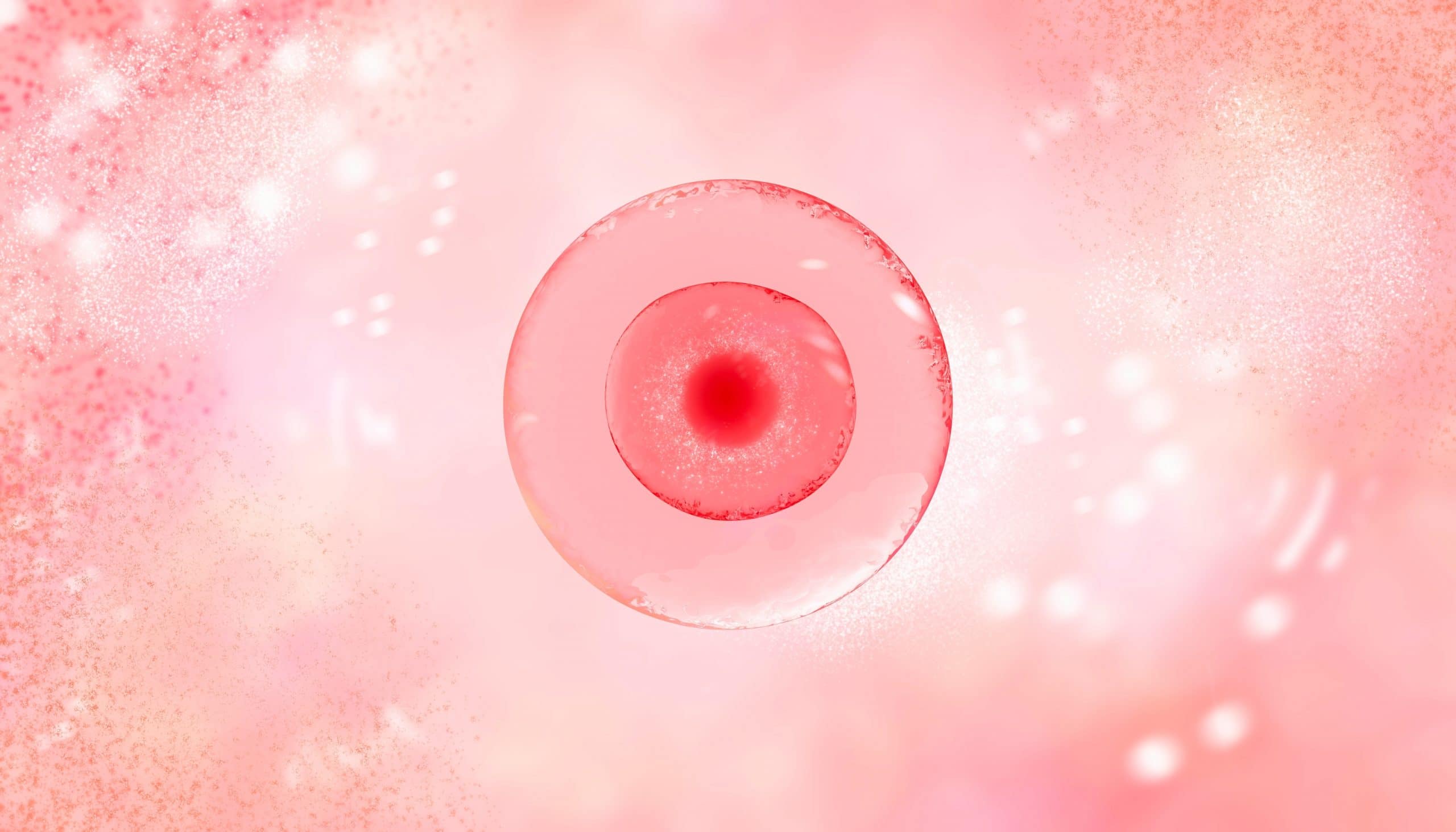 CGI closeup of an embryo at CRGH.