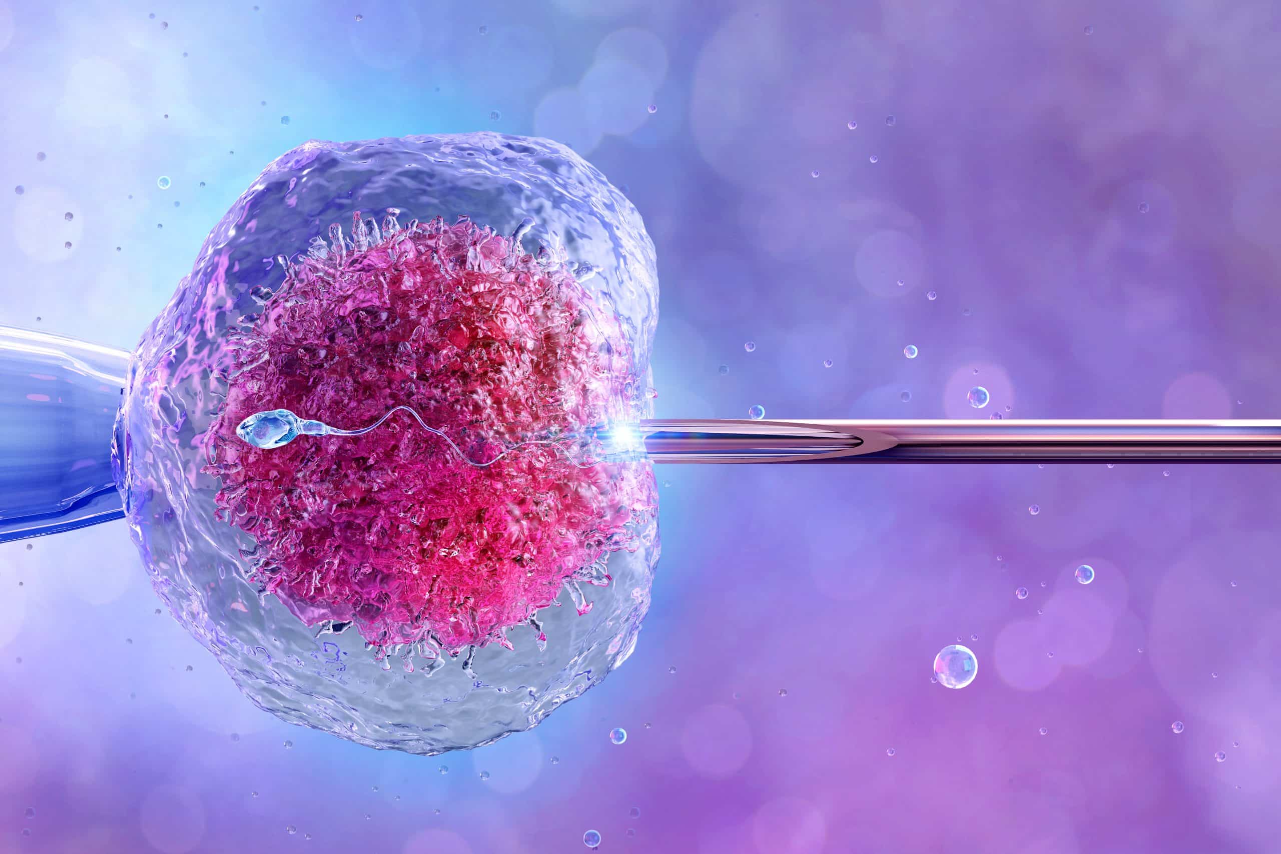 CGI closeup of IVF treatment and sperm being injected into the egg.